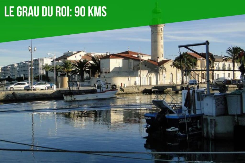 Le Saint-Laurent - Parking Gratuit - Terrasse - Wi-Fi Avignon Ngoại thất bức ảnh